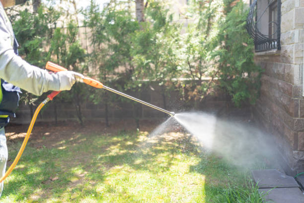 Best Pest Prevention Services  in Clifton, AZ